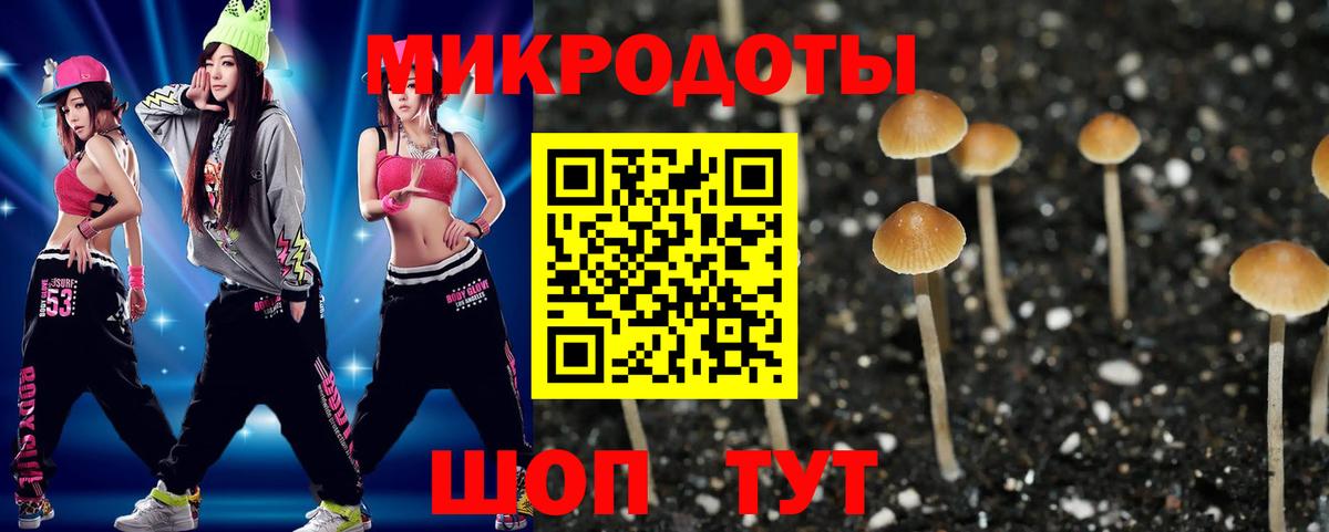 Галлюциногенные грибы GOLDEN TEACHER  Вход с VPN  Всеволожск 